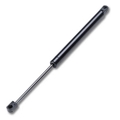 Gas Rod, 120 lb. Capacity