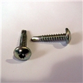 Exterior 8-Point Metal Screw - 1 in