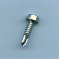 Exterior Trim Screw - 1 in
