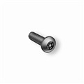 Security Bolt (3/8" x 1")